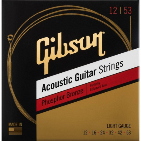 Gibson SAG PB12 Acoustic Light