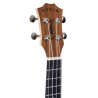 Arrow MH10 Sapele Concert Set