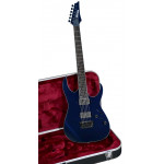 Ibanez RG5121 DBF