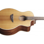 Ibanez PA230E NSL
