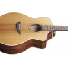 Ibanez PA230E NSL