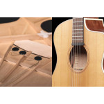 Ibanez PA230E NSL