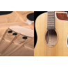 Ibanez PA230E NSL