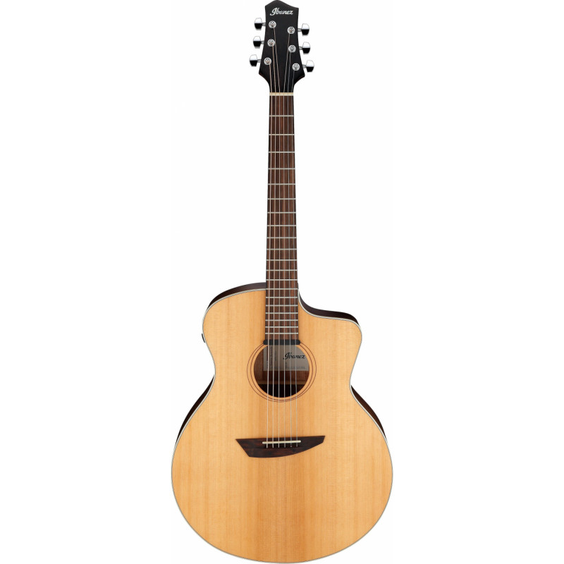 Ibanez PA230E NSL