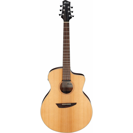 Ibanez PA230E NSL