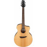 Ibanez PA230E NSL