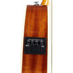 Ibanez TCY10E-SFH