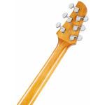 Ibanez TCY10E-SFH