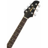 Ibanez TCY10E-SFH