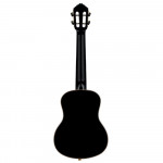 Ortega RUOX-TE