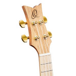 Ortega RUAR-BI