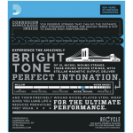 D'Addario ESXL110 10-46