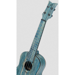 Ortega RUSWB-CC