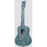 Ortega RUSWB-CC