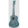 Ortega RUSWB-CC