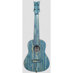 Ortega RUSWB-CC