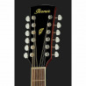 Ibanez PF1512ECE