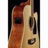 Ibanez PF1512ECE