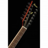 Ibanez PF1512ECE