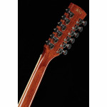 Ibanez PF1512ECE