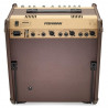 Fishman Loudbox Performer BT