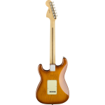 Fender American Performer Stratocaster RW HBST