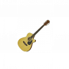 ARIA AFN-15 CE N