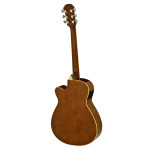 ARIA AFN-15 CE N