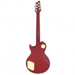 Aria PE-350 WR