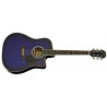 Aria AWN-15 CE BLS