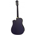 Aria AWN-15 CE BLS