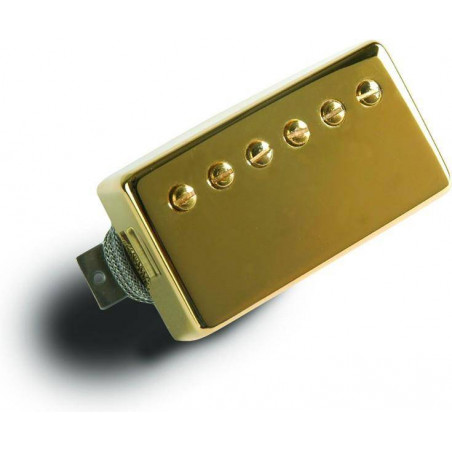 Złoty pickup do gitary.